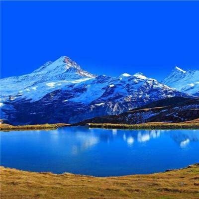 江南APPapp下载截图